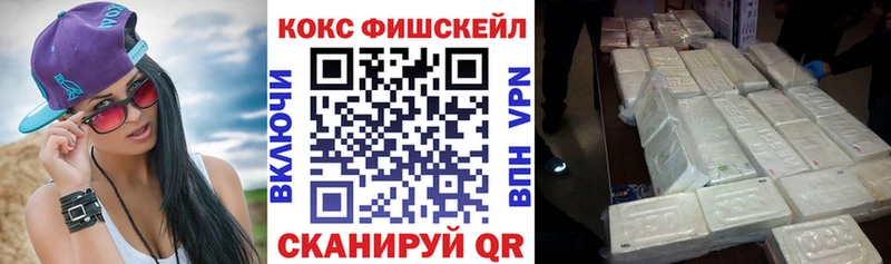 где можно купить   Шахунья  КОКАИН Fish Scale 